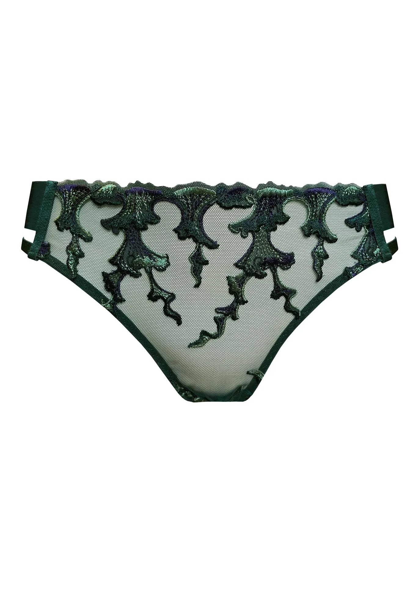 Aurea Brief Eden